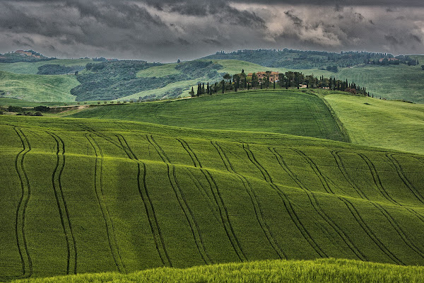 Disegni nel grano di Giorgiopaggetti