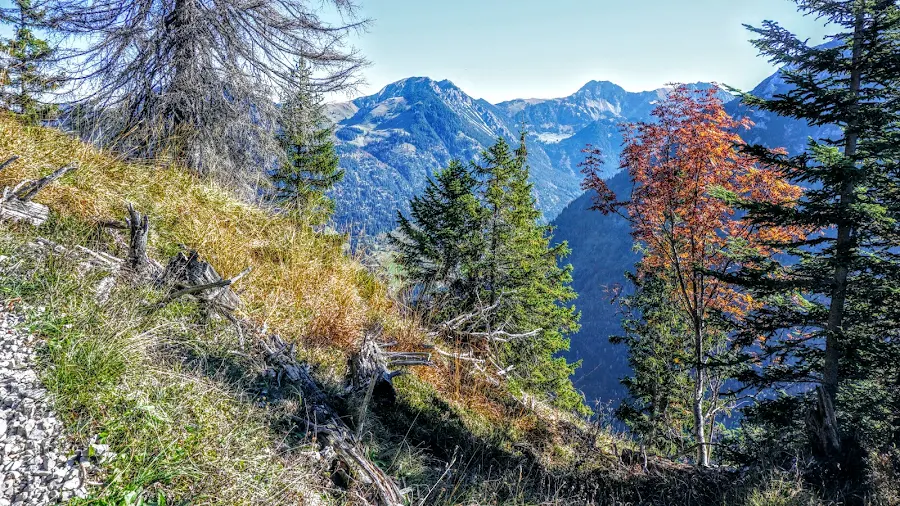 Imbergerhorn Strausberg Allgäu Sonthofen Hindelang Rotspitz Nebelhorn Entschenkopf Sonnenkopf Daumen 