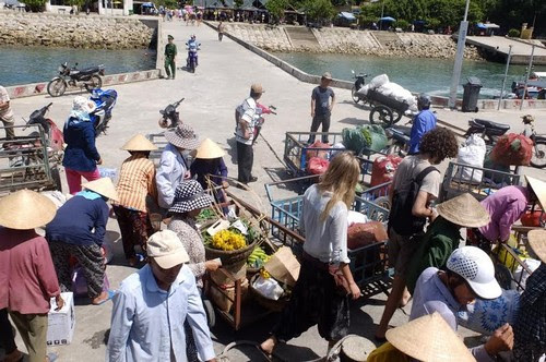 Cù Lao Chàm nói không với túi ni lông 3