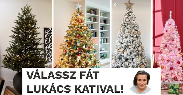 Kisokos karácsonyfa választáshoz