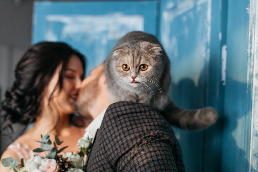 Fotógrafo de casamento Andrey Petrov (andreyphoto). Foto de 15 de janeiro 2017