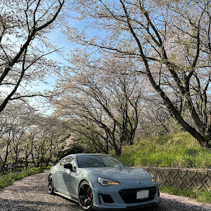 BRZ ZC6