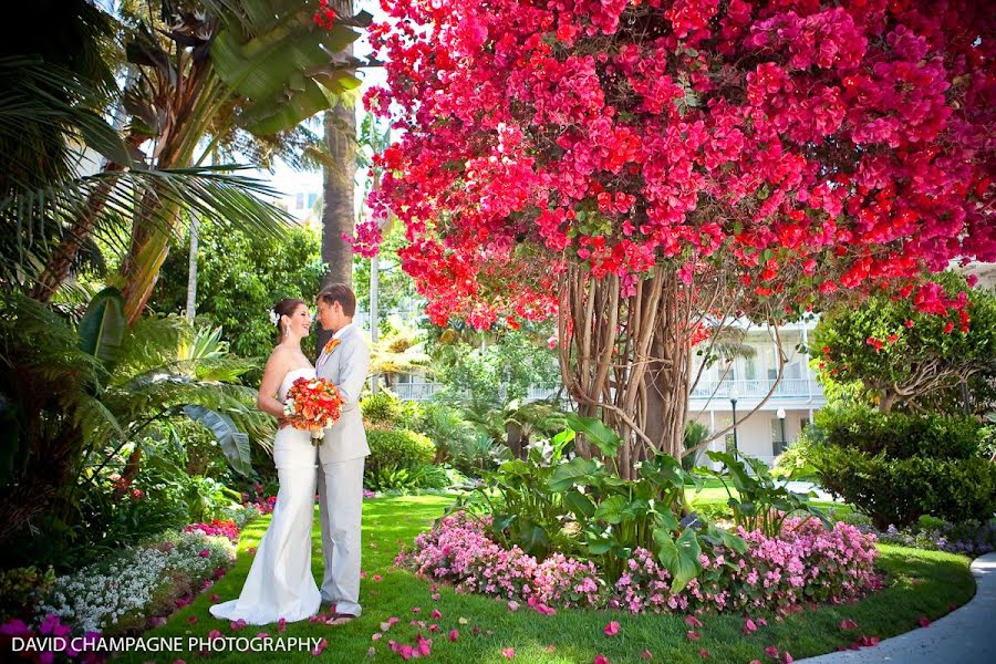 Fotógrafo de casamento David Champagne (davidchampagne). Foto de 7 de setembro 2019