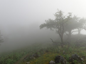 山頂はすぐそこだが…