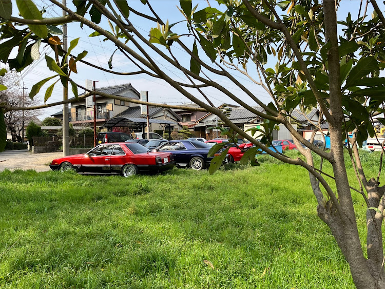 RX-7の知多半島ツーリング・花見🌸・ジェンガ大会・人類、皆友達・男の子？　女の子？に関するカスタム事例の投稿画像7枚目