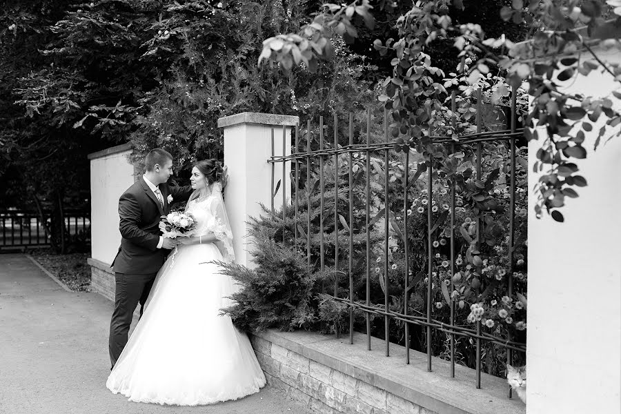 Fotografo di matrimoni Stanislav Novikov (stanislav). Foto del 15 gennaio 2018