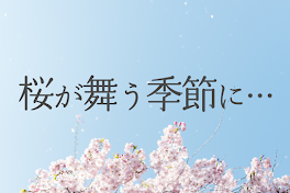 桜が舞う季節に…