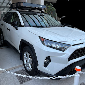 RAV4 MXAA54