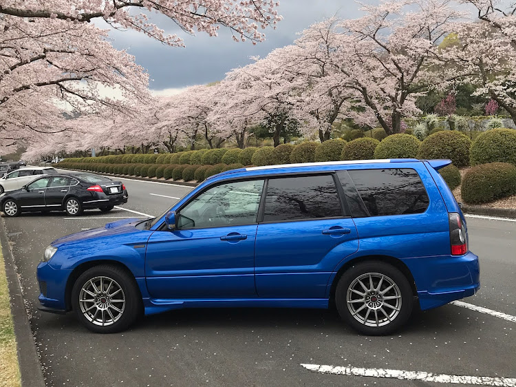 フォレスターのお花見🌸に関するカスタム事例の投稿画像1枚目