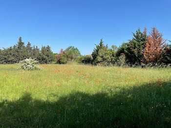 terrain à Castelnaudary (11)