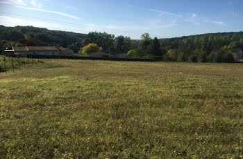 terrain à Paussac-et-Saint-Vivien (24)