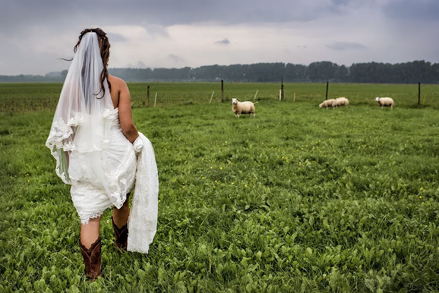 Wedding photographer Els Korsten (korsten). Photo of 11 June 2018