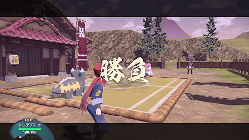 トリデプスで挑む