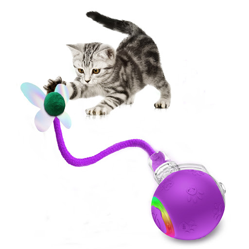 Purple O11