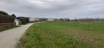 terrain à Saint-Aubin-d'Arquenay (14)