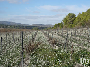 terrain à Sigean (11)