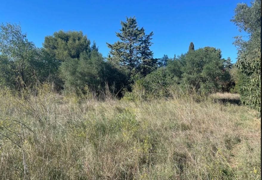 Vente terrain  300 m² à Beaucaire (30300), 97 000 €