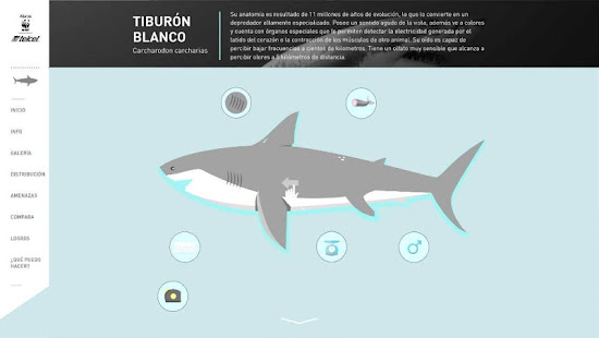 WWF - Telcel(圖2)-速報App