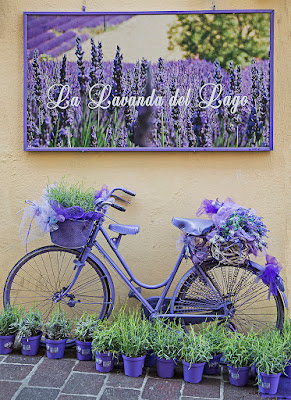 La Lavanda del Lago di VILLA MARIO