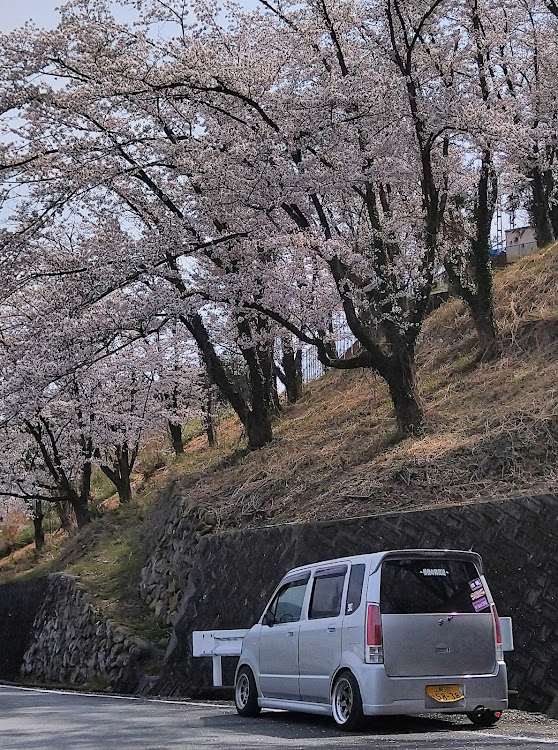 の投稿画像1枚目