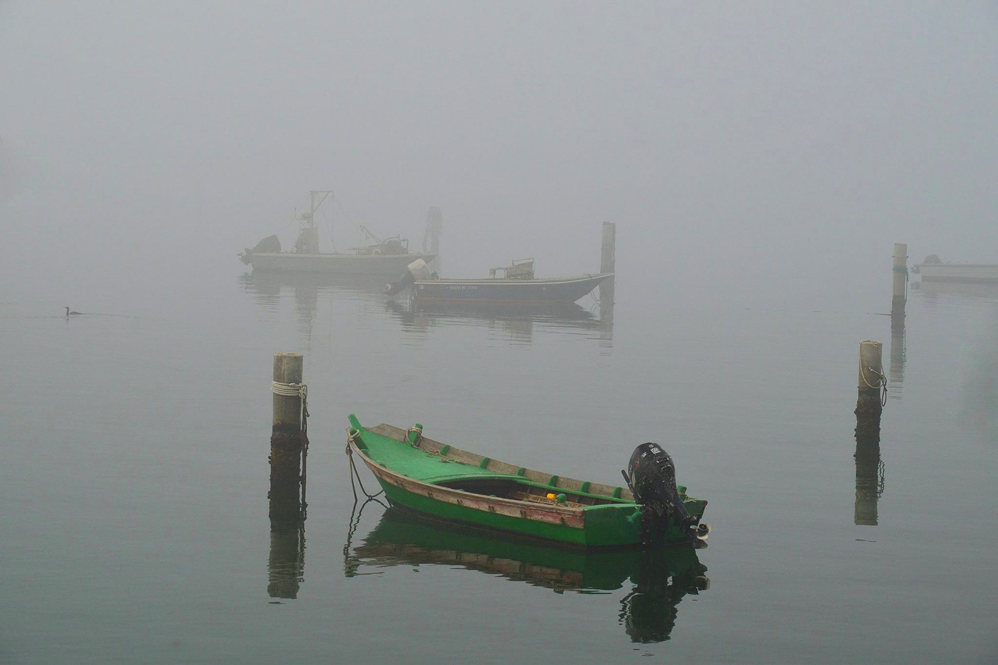 legno nell'acqua, legno sull'acqua di Isidoro. 