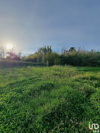 terrain à Luri (2B)