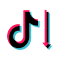 Item logo image for Tiktok Video Downloader & Keeper