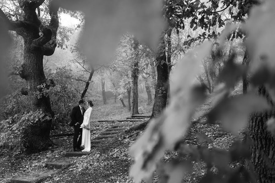 Fotógrafo de casamento Yulya Vlasova (vlasovaulia). Foto de 22 de outubro 2019