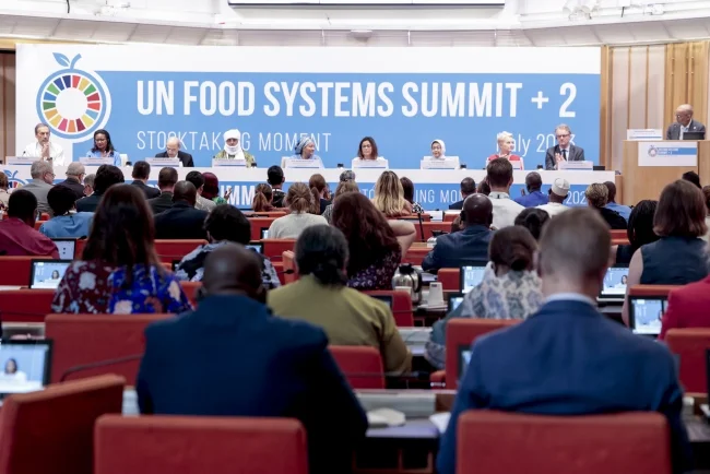 UN: Nužna transformacija sistema za održivije korišćenje hrane