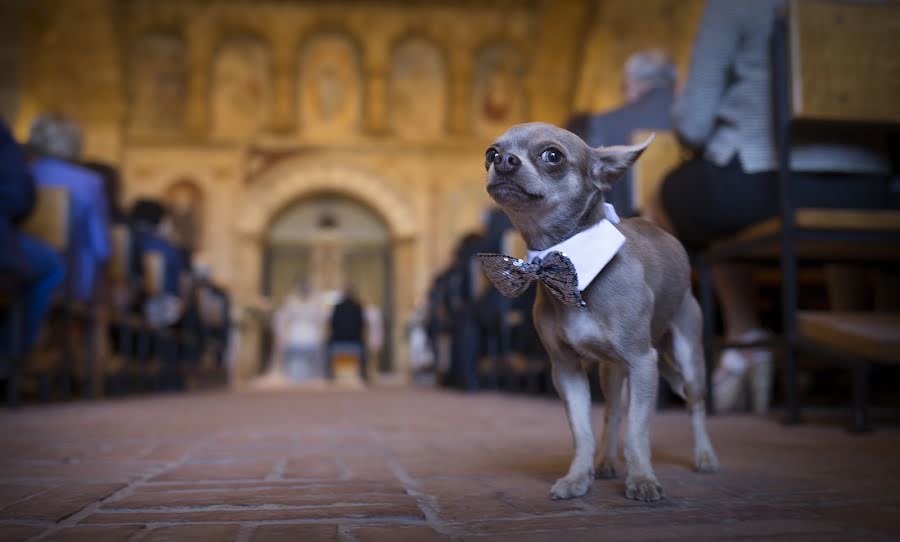 結婚式の写真家Mario Cosentino (mariocosentino)。2015 5月27日の写真