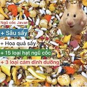 Thức Ăn Hamster Javan Siêu Ngon, Ngũ Cốc Hoa Quả Sâu Sấy Cho Bé Yêu