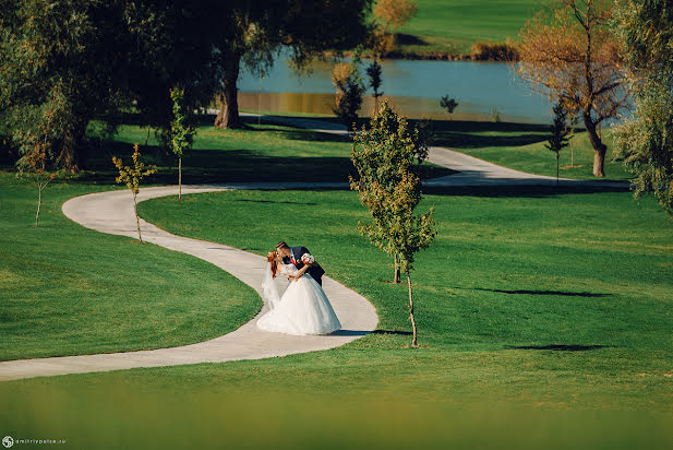 Fotografo di matrimoni Dmitriy Puls (pulse). Foto del 14 dicembre 2016