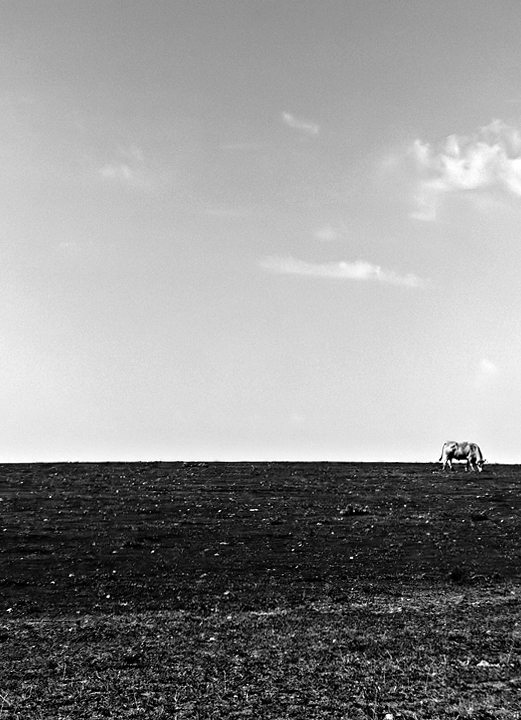 Alentejo di Manlio