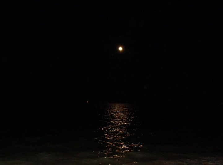 Il mare di notte di laurafoto83