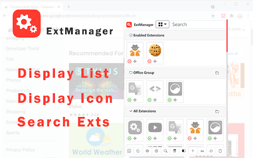 ExtManager