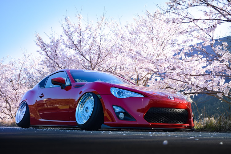 86の桜・スタンス・一眼レフに関するカスタム事例の投稿画像1枚目