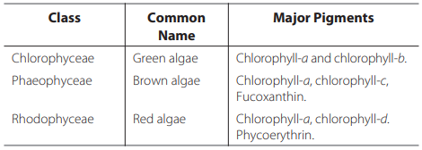 Solution Image