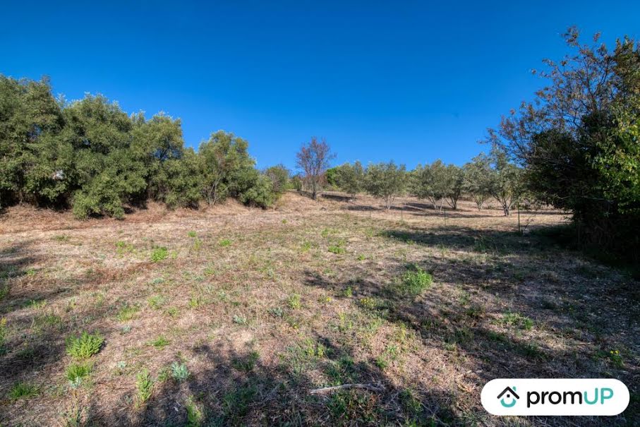 Vente terrain  1600 m² à Caunes-Minervois (11160), 78 000 €