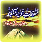 Cover Image of ダウンロード Hazrat Bahauddin Naqshband R.A 3.0 APK