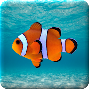 Point The Fish! Aquarium Games 1.0 Icon