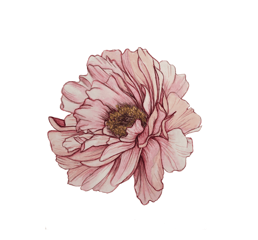 peonia