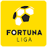 Fortuna Liga1.3