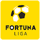 Fortuna Liga Download on Windows