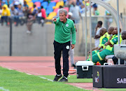 Bloemfontein Celtic Veselin Jelusic.