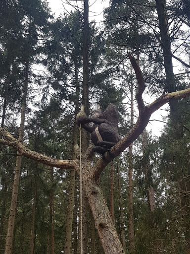 Das Eichhörnchen