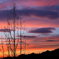 Sfumature di un tramonto di 