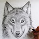 Download How To Draw Wolves For PC Windows and Mac