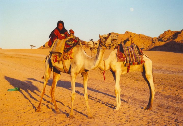 REGINA NEL DESERTO - EGITTO di dansantos