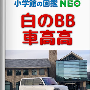 bB NCP30