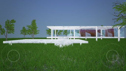 Mies V.D.R. - Farnsworth House